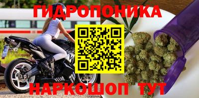 гашик Уссурийск