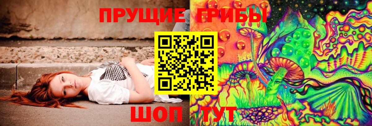 Псилоцибиновые грибы Psilocybe Воскресенск