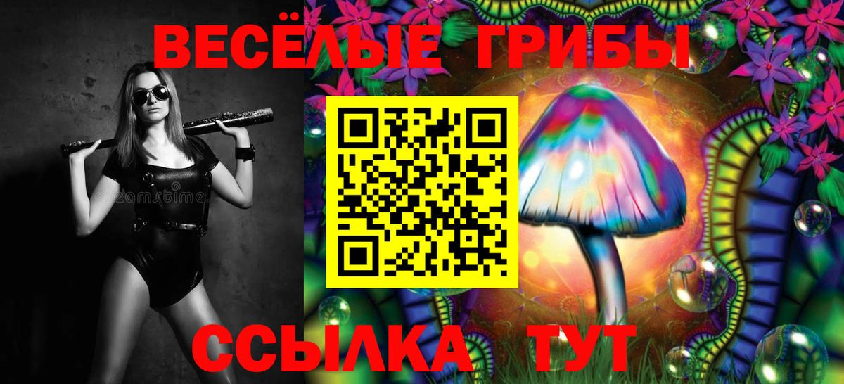 Псилоцибиновые грибы Psilocybe  Вход с VPN  Галлюциногенные грибы GOLDEN TEACHER  Воскресенск 